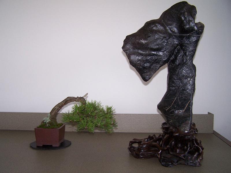 nieuwe foto's 200 124.jpg